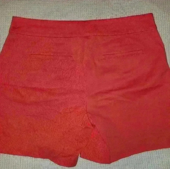 Ann Taylor Loft Riviera shorts - Picture 2 of 4